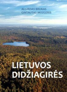 lietuvos-didziagires