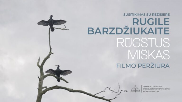 Rugilės Barzdžiukaitės filmo „Rūgštus miškas“ akimirka: du kormoranai tupi ant nudžiūvusio medžio išskleidę sparnus