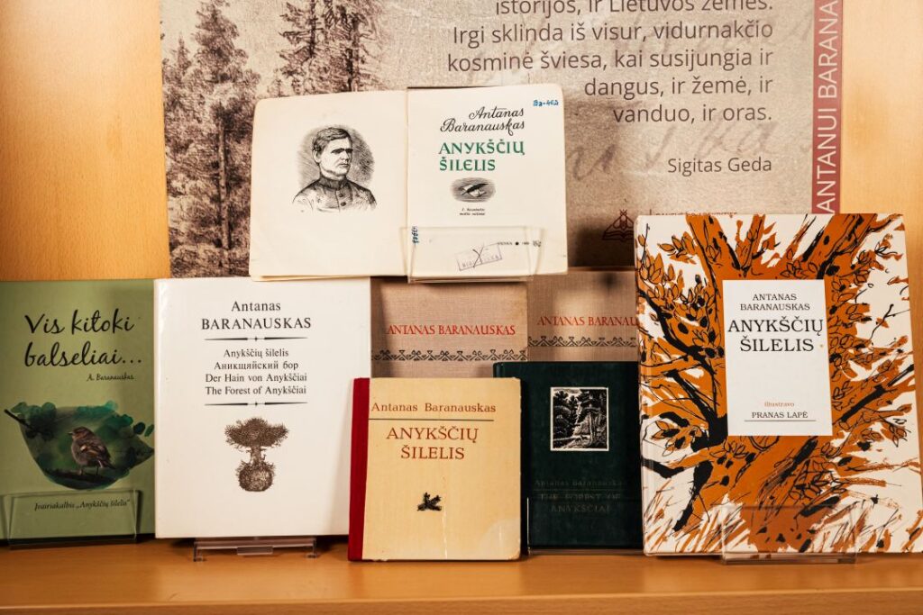 Sustatytos knygos iš knygų parodos, skirtos Antanui Baranauskui, bibliotekos aplinkoje