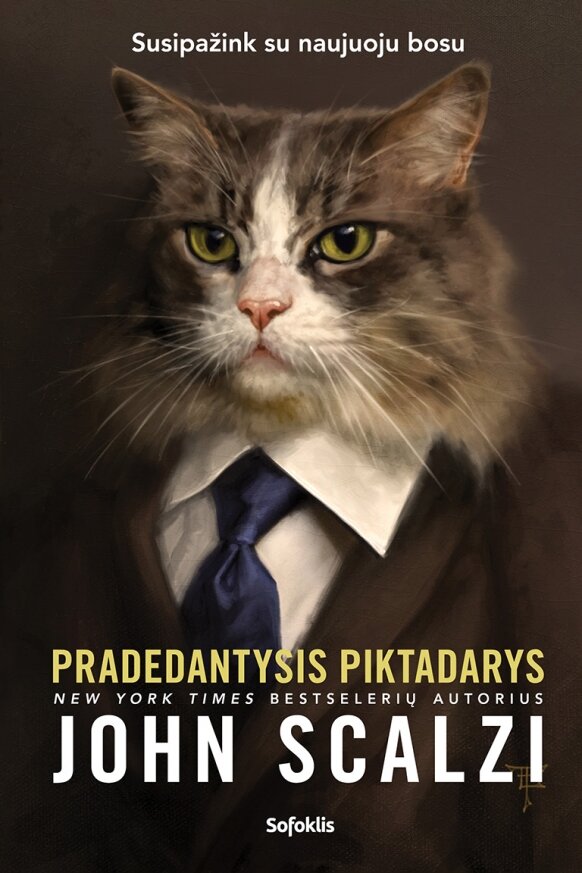 pradedantysis-piktadarys